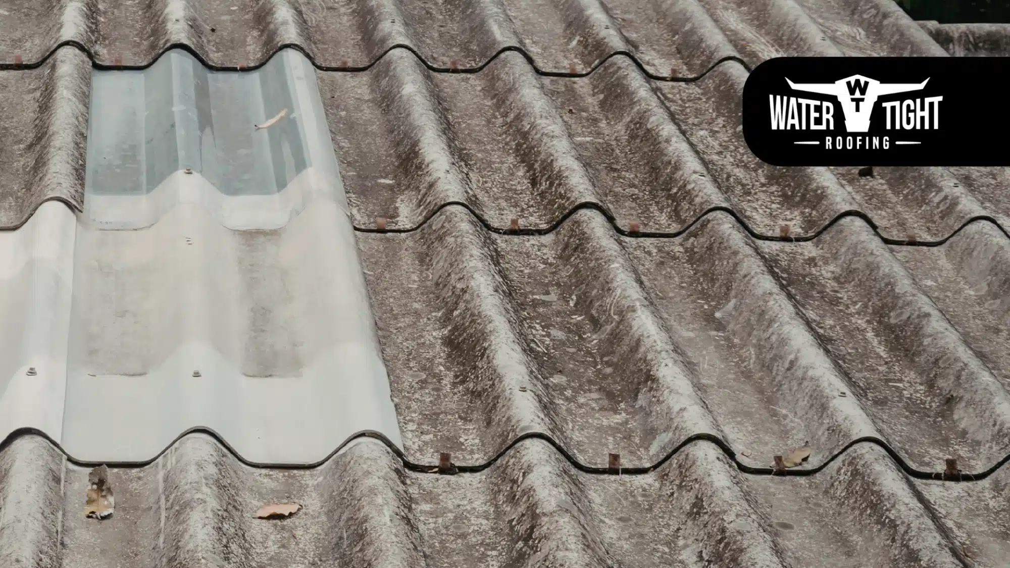 Commercial roof replacement signs shown on an aging roof with visible wear and a skylight.